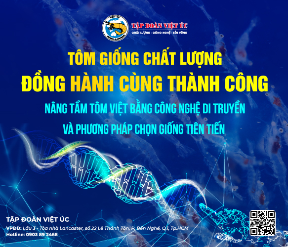 banner sample 1
