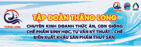 thang-long-2021